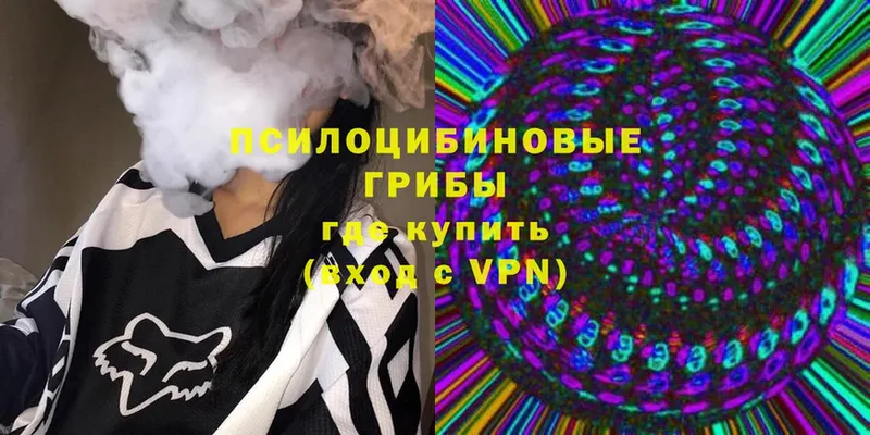 Псилоцибиновые грибы Psilocybe  купить наркотик  Купино 